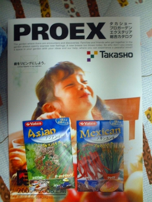 �^�J�V���[�E����D�Ҏʐ^